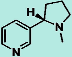 Химическая формула никотина